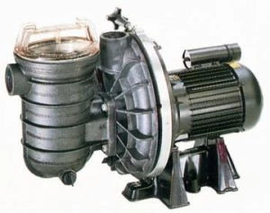 0.5hp (0.37kw) STA-RITE, 1 phase, 1.5" Inlet & Outlet